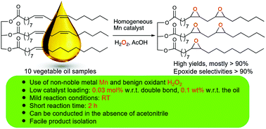 Publications Welcome To The Matthias Otte Lab